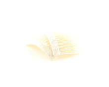 Load image into Gallery viewer, MothOPearl
