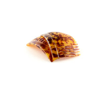 Load image into Gallery viewer, Toffee
