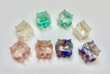 Load image into Gallery viewer, Small Cat Jaw pic
