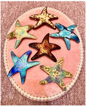 Load image into Gallery viewer, French Starfish Large Barrettes
